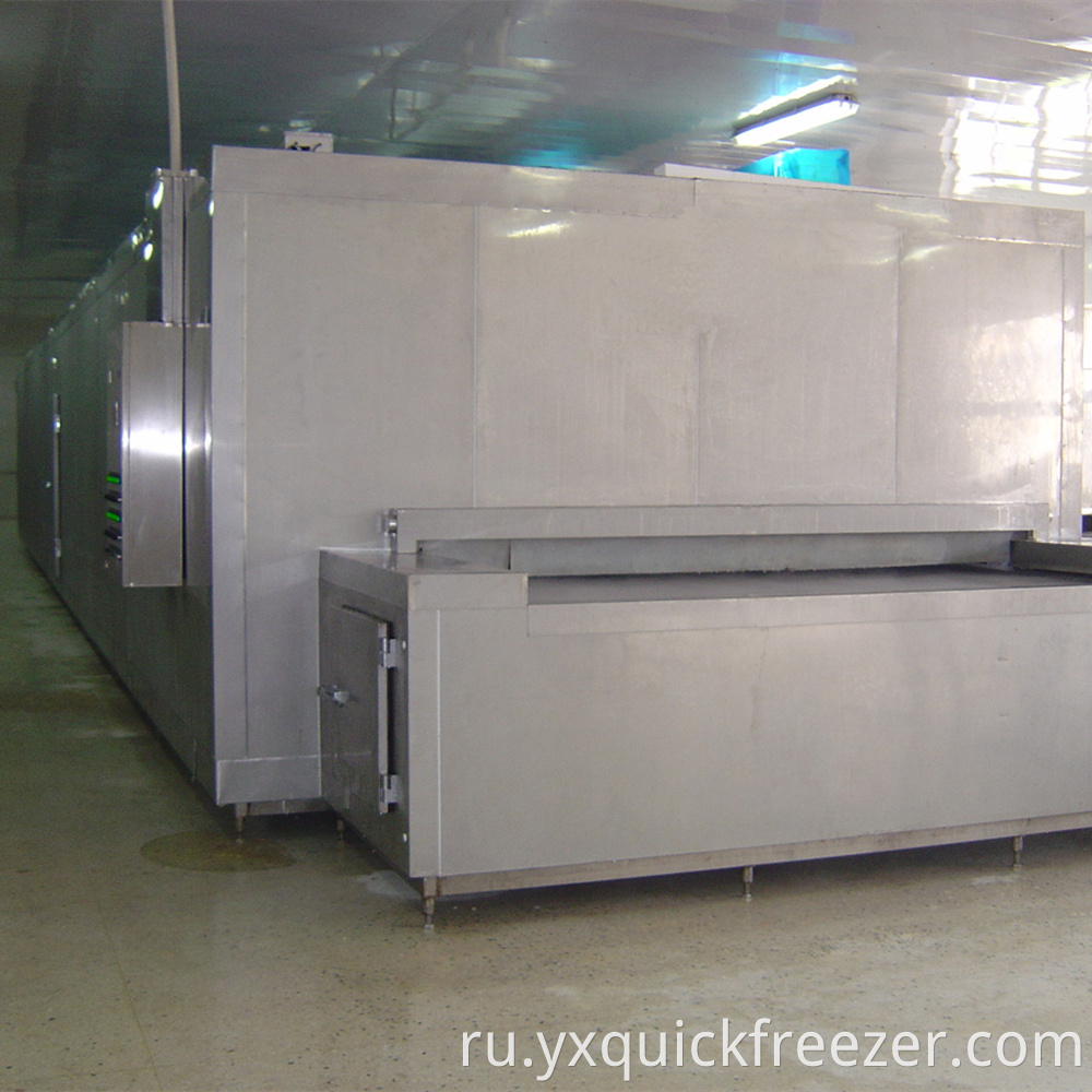 Tunnel Freezer7